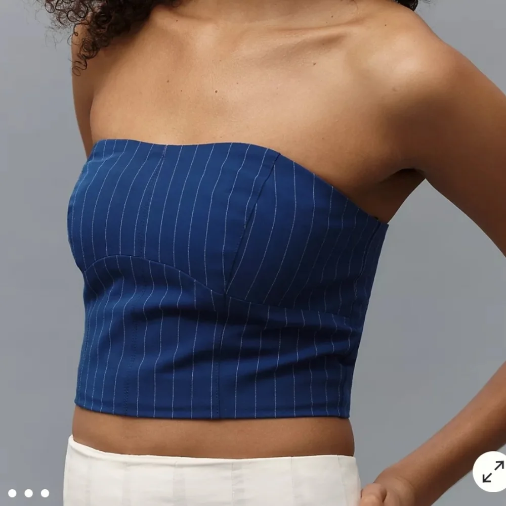 NWT Walter Baker Tanvi Strapless Bustier Top
